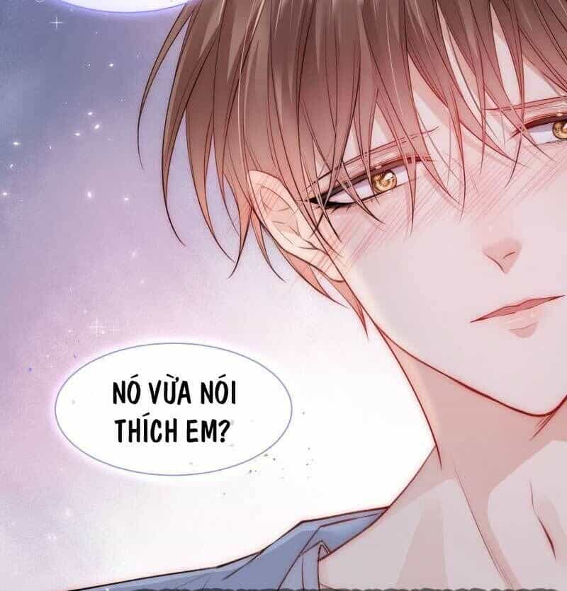 Triều Tây, Con Thích Chú - Chương 29.2 - ảnh 24