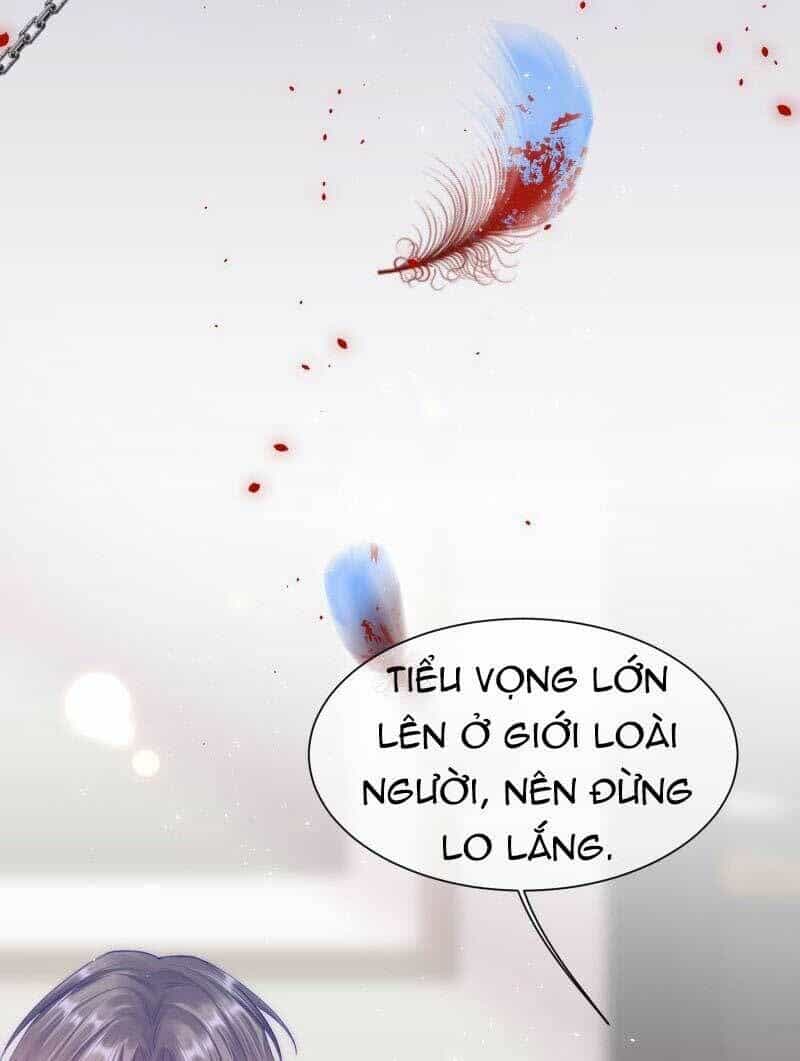 Triều Tây, Con Thích Chú - Chương 31.2 - ảnh 20