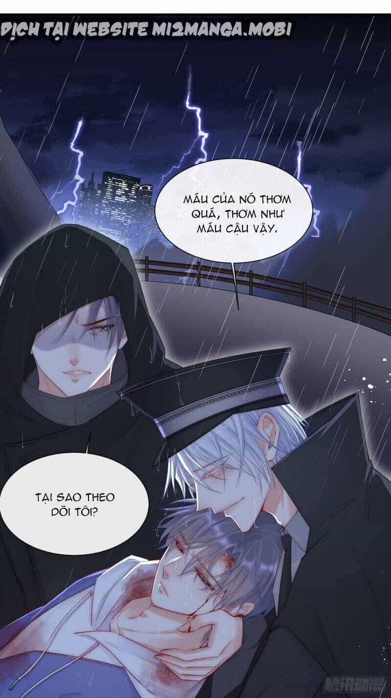 Triều Tây, Con Thích Chú - Chương 36 - ảnh 23