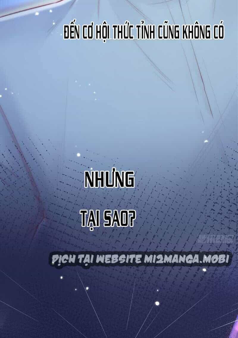 Triều Tây, Con Thích Chú - Chương 37 - ảnh 37