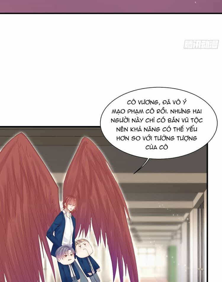 Triều Tây, Con Thích Chú - Chương 41 - ảnh 14