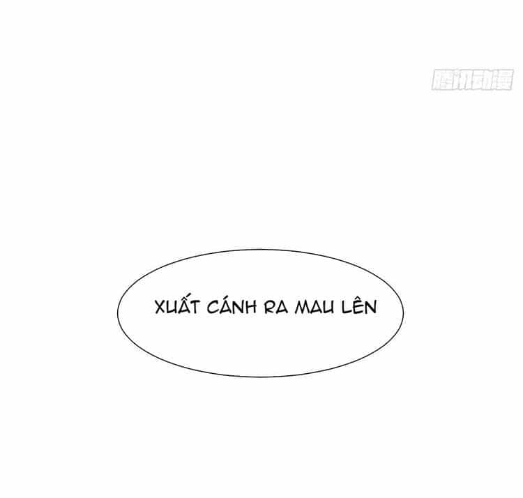 Triều Tây, Con Thích Chú - Chương 46 - ảnh 50