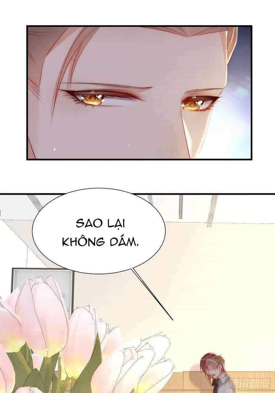 Triều Tây, Con Thích Chú - Chương 52 - ảnh 11