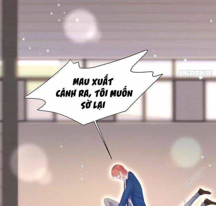 Triều Tây, Con Thích Chú - Chương 65 - ảnh 47