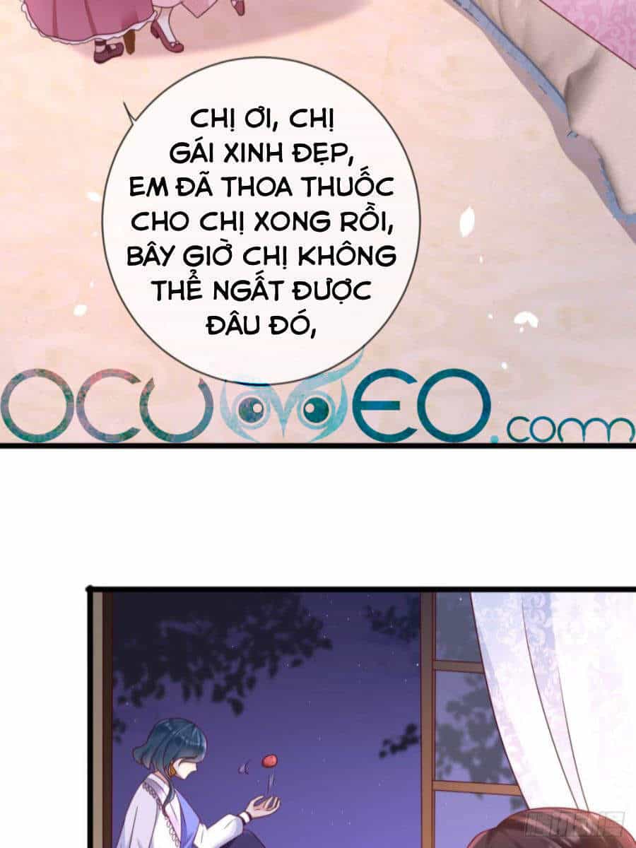 Trò Chơi Trọng Sinh: Hoàng Tử Khó Chiều - Chương 19 - ảnh 3