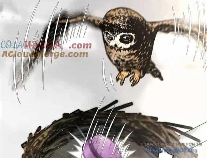 Trò Chơi Vô Vọng - Chương 26 - ảnh 57