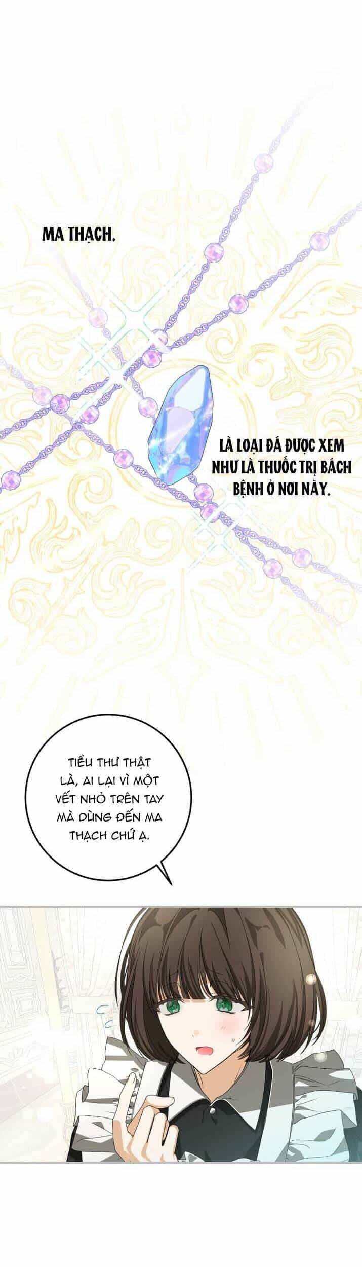 Trở Thành Chủ Nhân Của Ác Ma - Chương 8 - ảnh 24