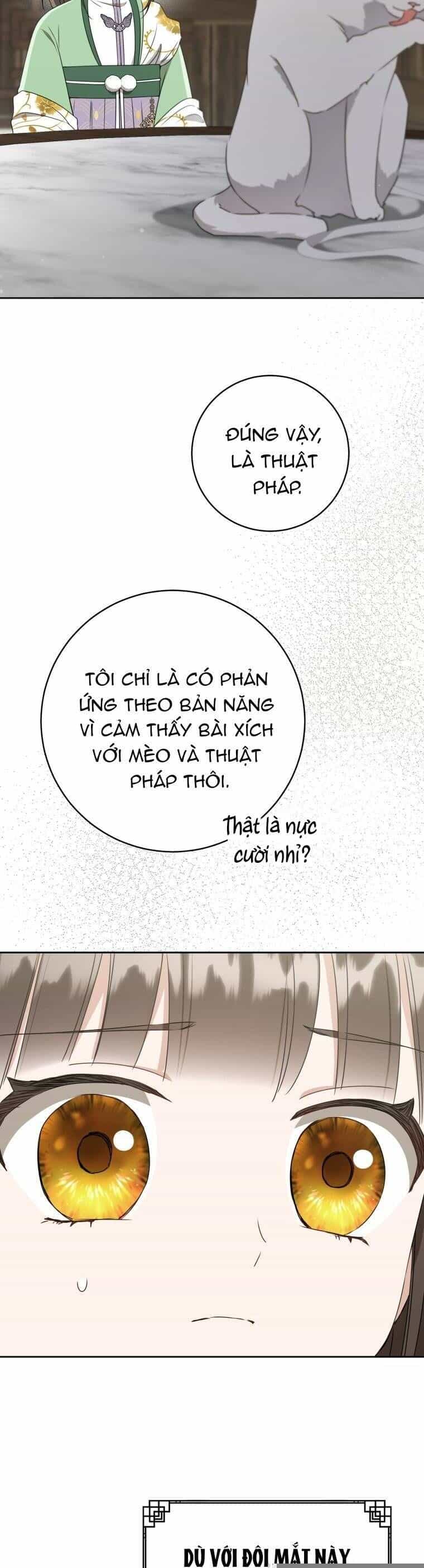 Trở Thành Cô Cháu Gái Bị Khinh Miệt Của Gia Tộc Võ Lâm - Chương 87 - ảnh 41