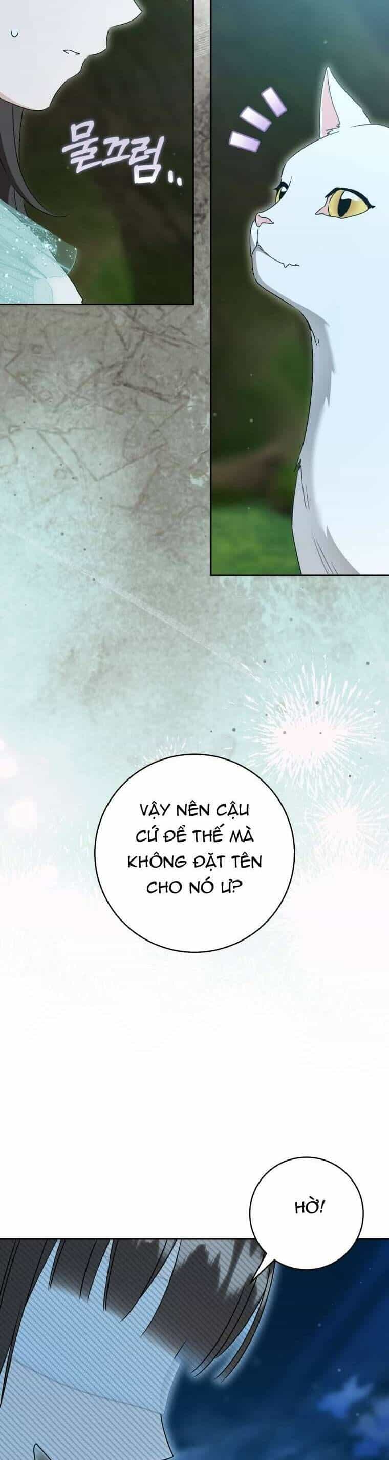 Trở Thành Cô Cháu Gái Bị Khinh Miệt Của Gia Tộc Võ Lâm - Chương 94 - ảnh 38