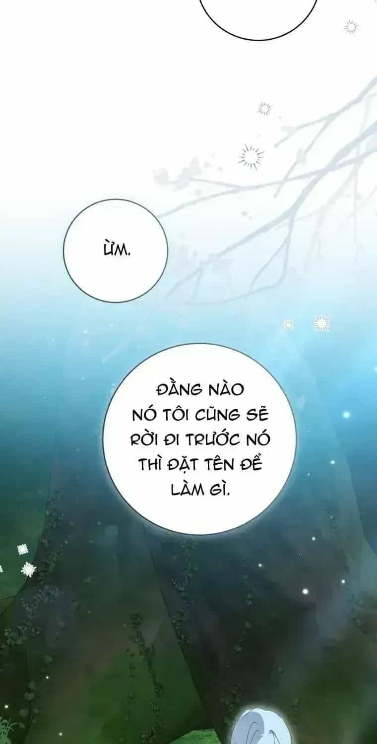 Trở Thành Cô Cháu Gái Bị Khinh Miệt Của Gia Tộc Võ Lâm - Chương 94.5 - ảnh 53