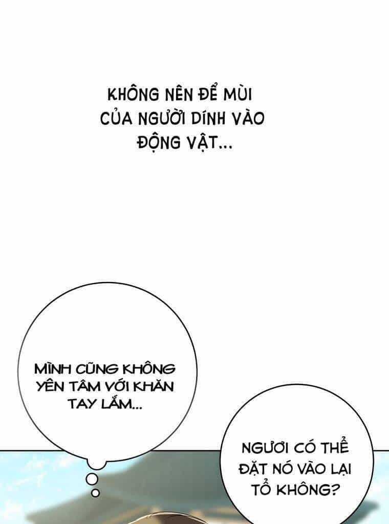 Trở Thành Cô Cháu Gái Bị Khinh Miệt Của Gia Tộc Võ Lâm - Chương 18 - ảnh 40