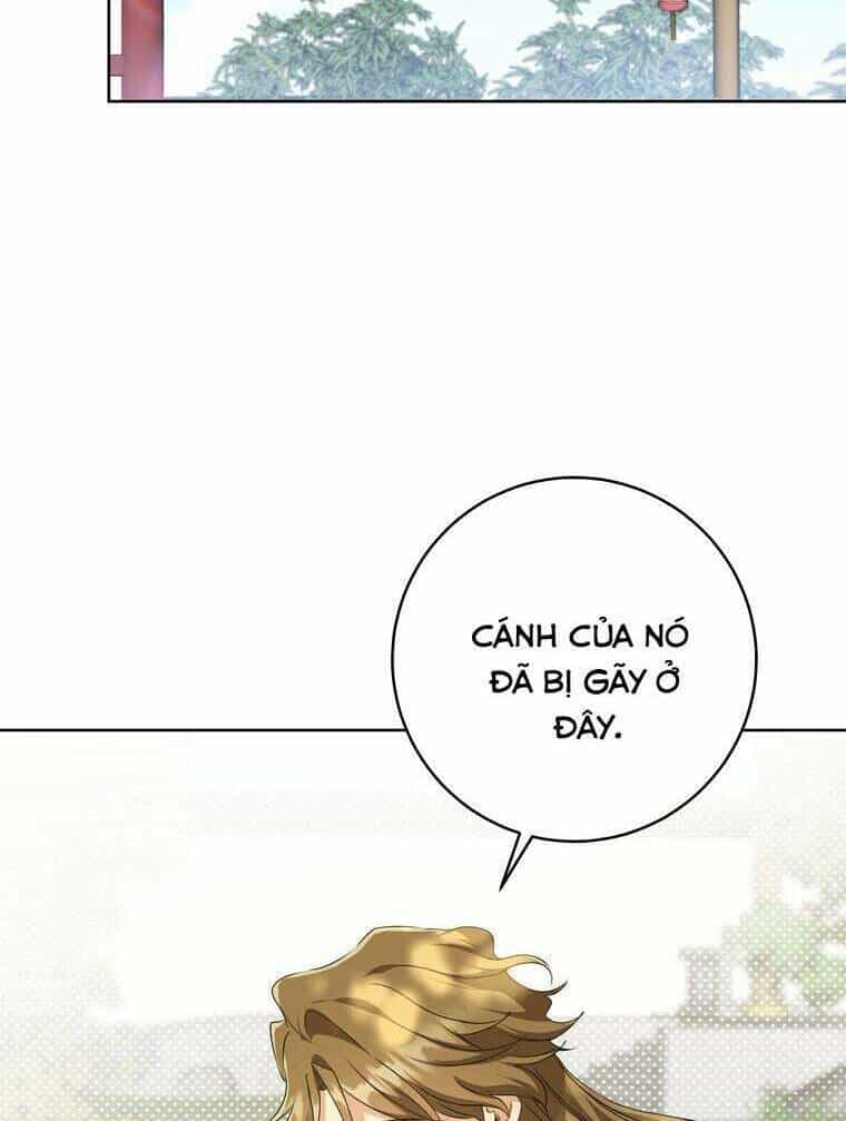 Trở Thành Cô Cháu Gái Bị Khinh Miệt Của Gia Tộc Võ Lâm - Chương 18 - ảnh 55