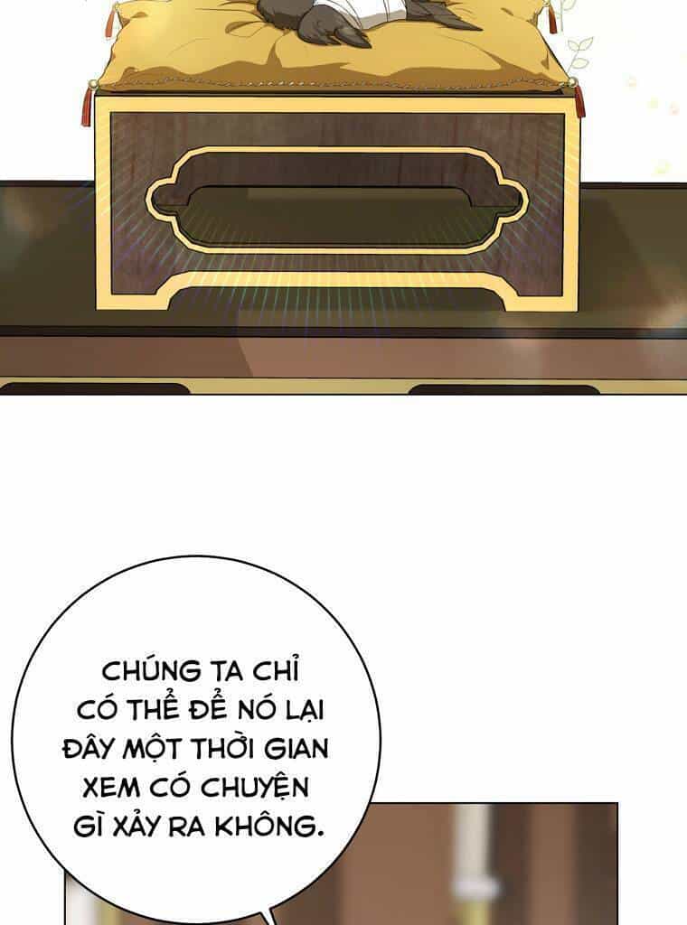 Trở Thành Cô Cháu Gái Bị Khinh Miệt Của Gia Tộc Võ Lâm - Chương 19 - ảnh 29