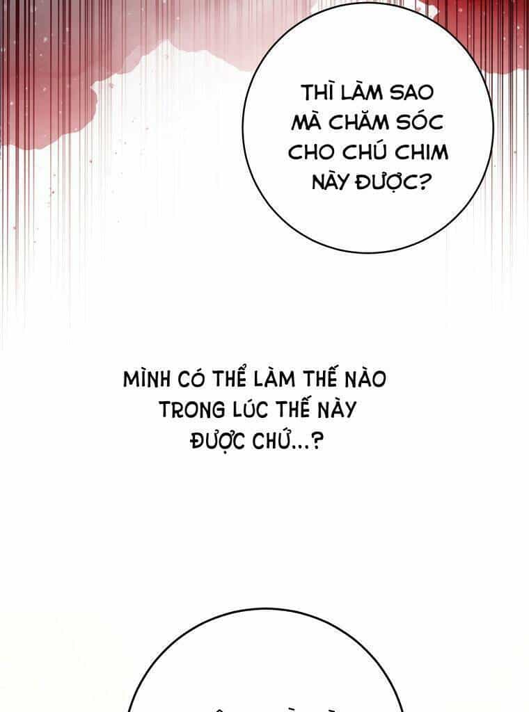 Trở Thành Cô Cháu Gái Bị Khinh Miệt Của Gia Tộc Võ Lâm - Chương 19 - ảnh 36