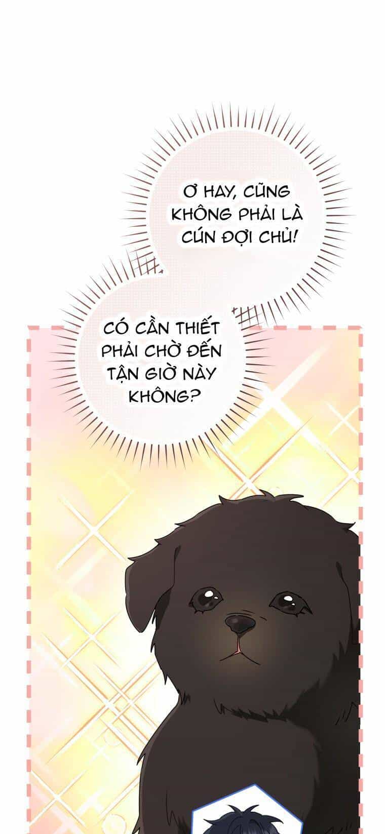Trở Thành Cô Cháu Gái Bị Khinh Miệt Của Gia Tộc Võ Lâm - Chương 47 - ảnh 33
