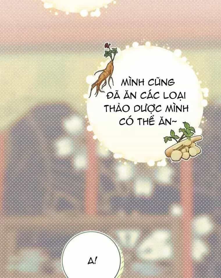 Trở Thành Cô Cháu Gái Bị Khinh Miệt Của Gia Tộc Võ Lâm - Chương 73.7 - ảnh 77