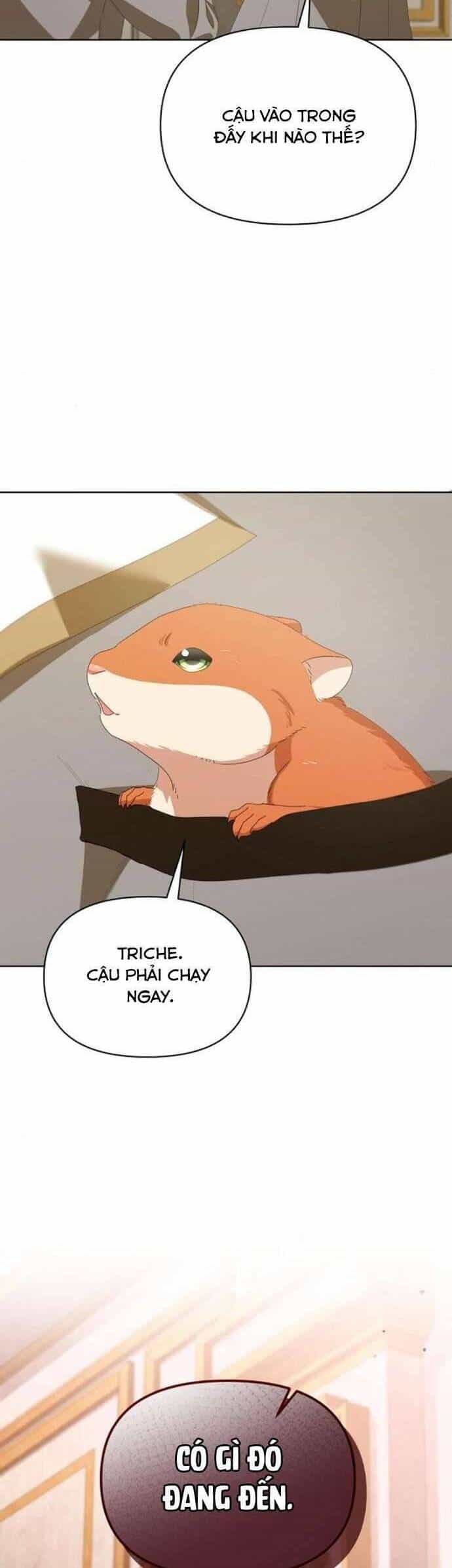 Trở Thành Con Gái Nuôi Của Gia Tộc Sát Thủ - Chương 41 - ảnh 10