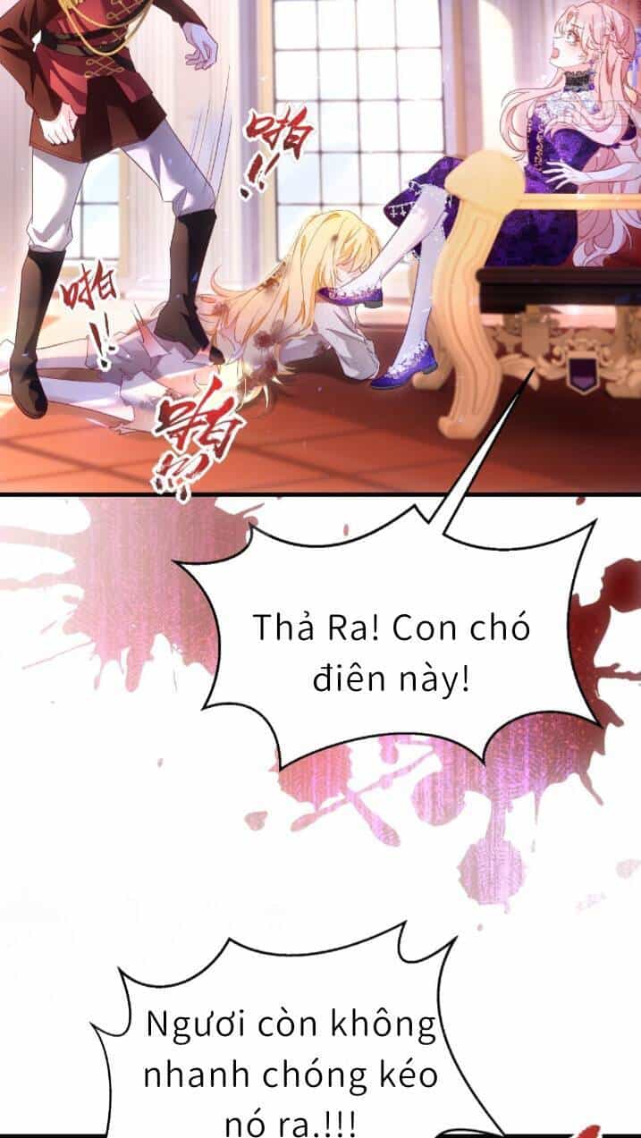 Trở Thành Đòan Sủng Về Sau, Ta Đại Sát Tứ Phương - Chương 1 - ảnh 10