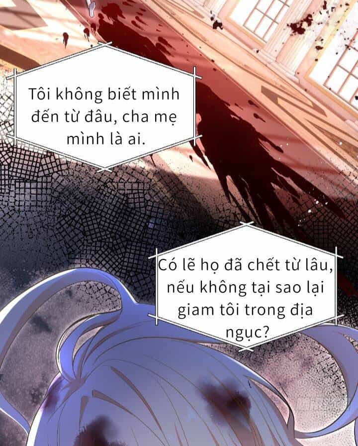 Trở Thành Đòan Sủng Về Sau, Ta Đại Sát Tứ Phương - Chương 1 - ảnh 16