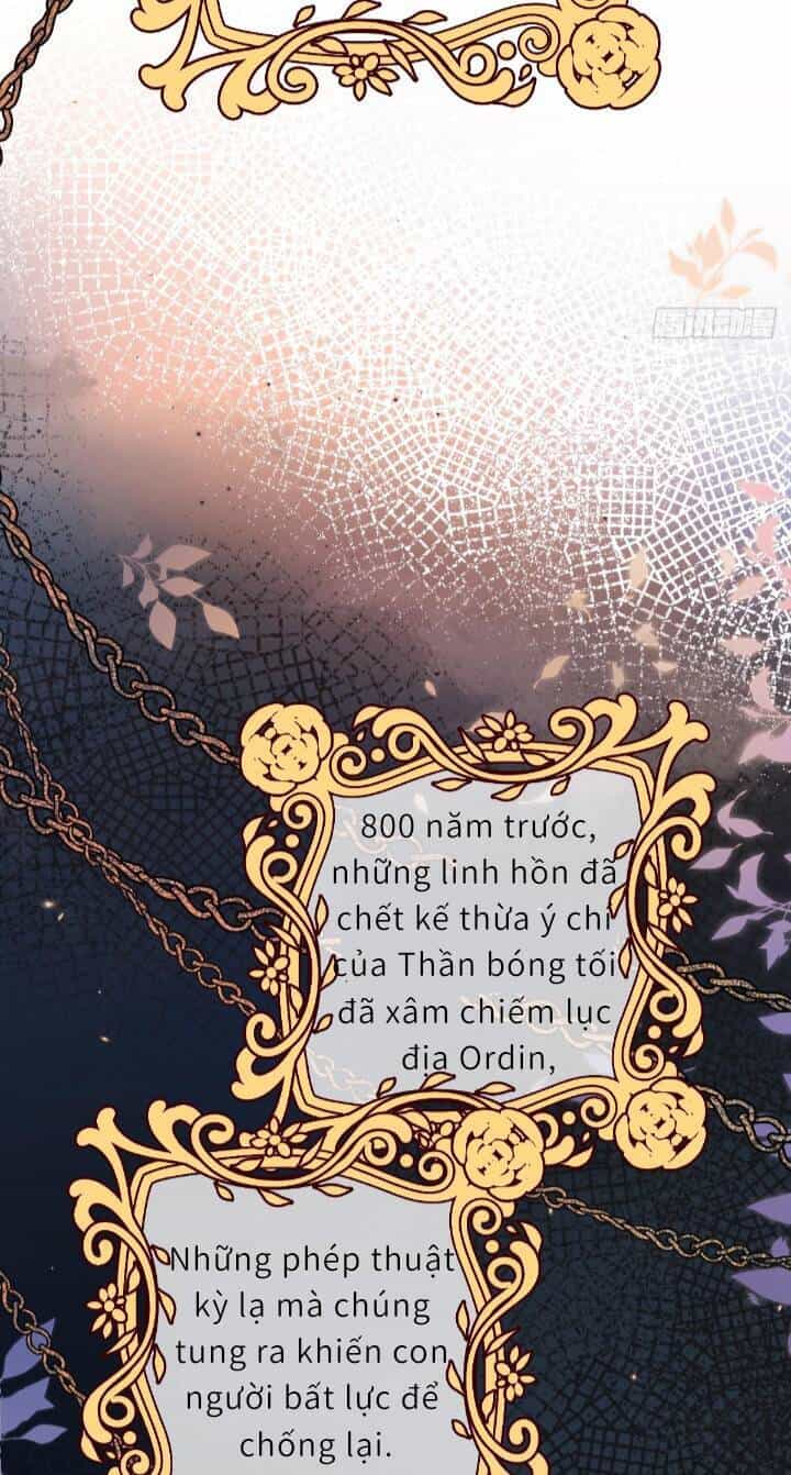 Trở Thành Đòan Sủng Về Sau, Ta Đại Sát Tứ Phương - Chương 1 - ảnh 27