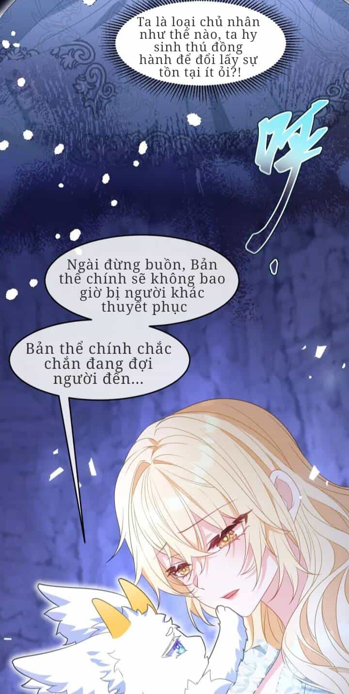 Trở Thành Đòan Sủng Về Sau, Ta Đại Sát Tứ Phương - Chương 5 - ảnh 14