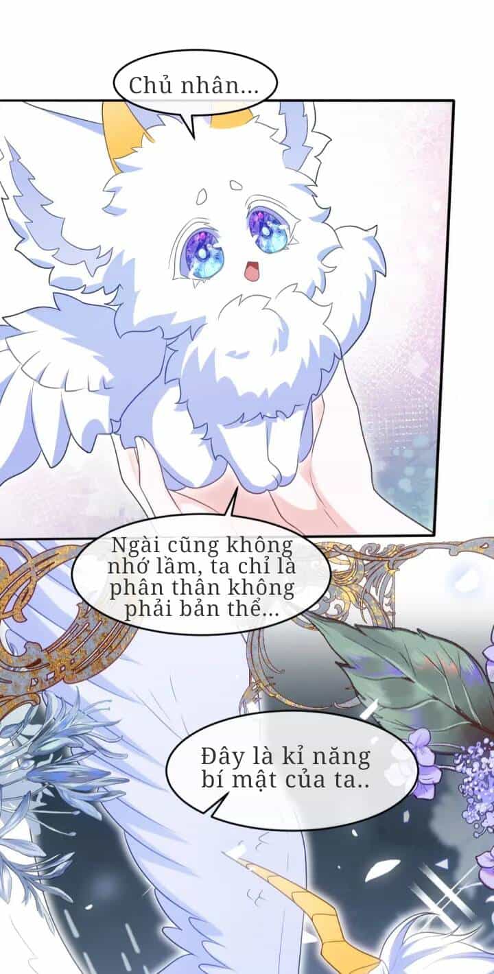 Trở Thành Đòan Sủng Về Sau, Ta Đại Sát Tứ Phương - Chương 5 - ảnh 9