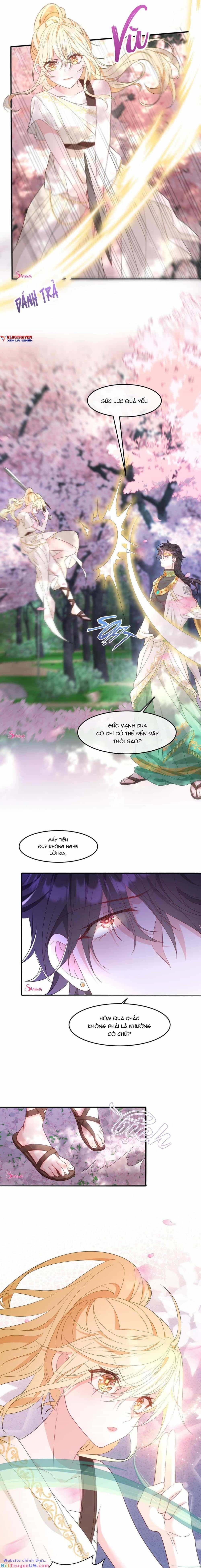 Trở Thành Đòan Sủng Về Sau, Ta Đại Sát Tứ Phương - Chương 6 - ảnh 4