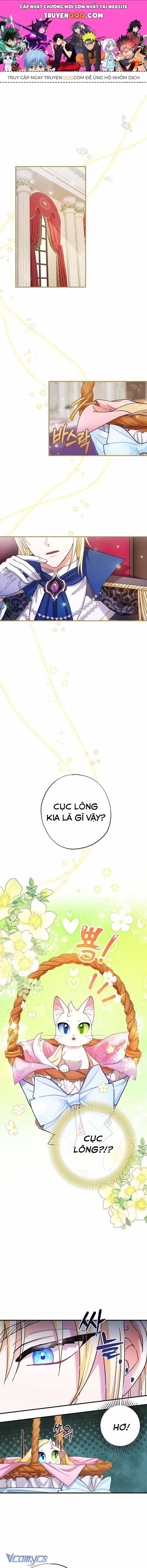 Trở Thành Miêu Nữ Của Hoàng Đế - Chương 1 - ảnh 1