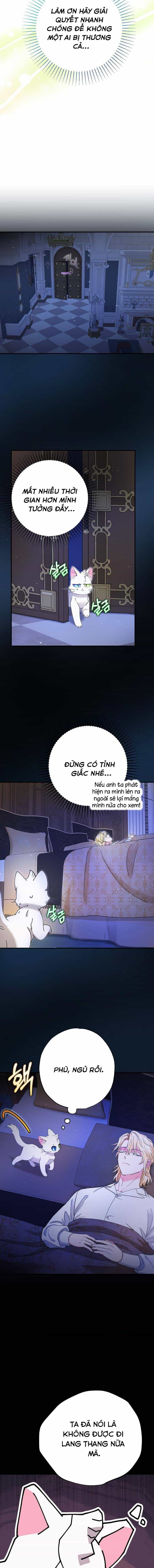 Trở Thành Miêu Nữ Của Hoàng Đế - Chương 11 - ảnh 15