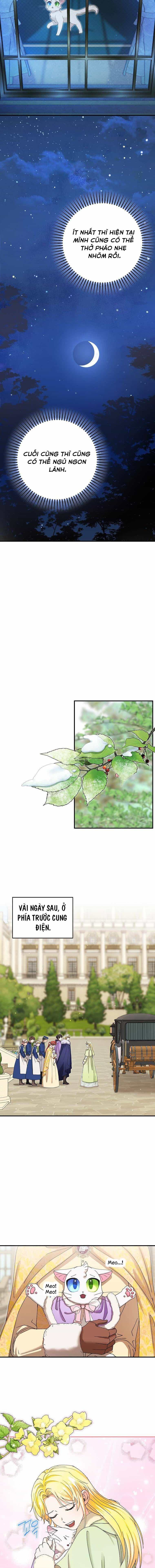 Trở Thành Miêu Nữ Của Hoàng Đế - Chương 12 - ảnh 11