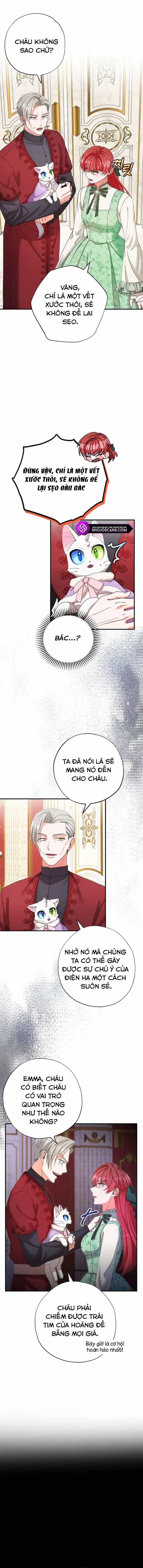 Trở Thành Miêu Nữ Của Hoàng Đế - Chương 14 - ảnh 9