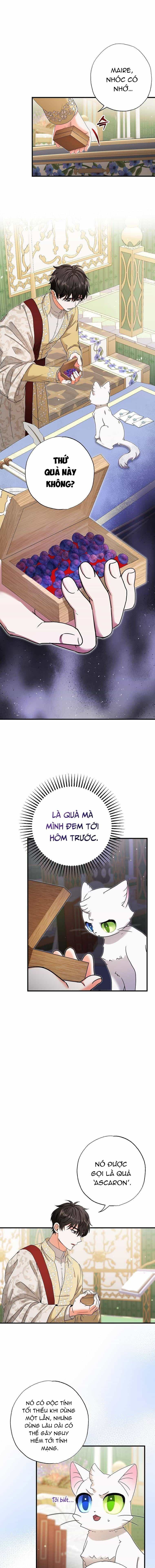 Trở Thành Miêu Nữ Của Hoàng Đế - Chương 17 - ảnh 9