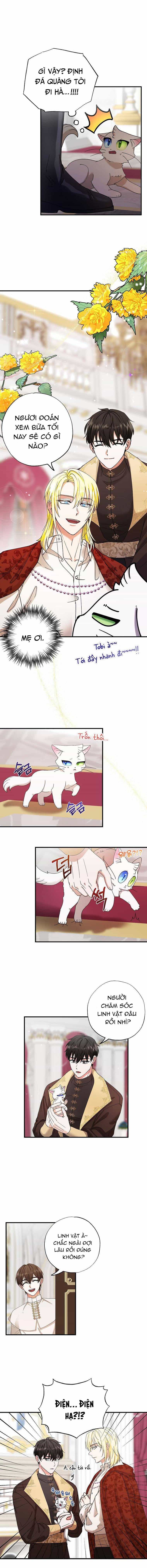 Trở Thành Miêu Nữ Của Hoàng Đế - Chương 2 - ảnh 12