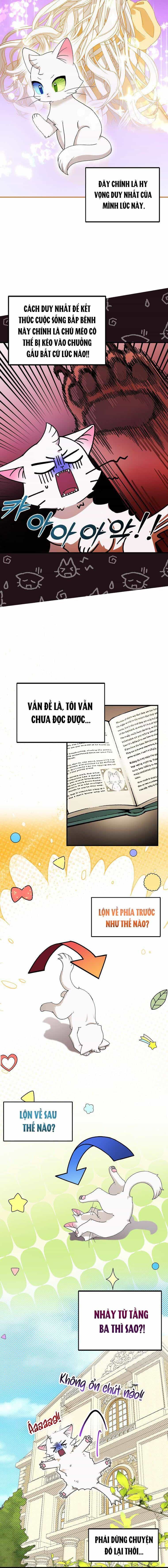Trở Thành Miêu Nữ Của Hoàng Đế - Chương 2 - ảnh 8