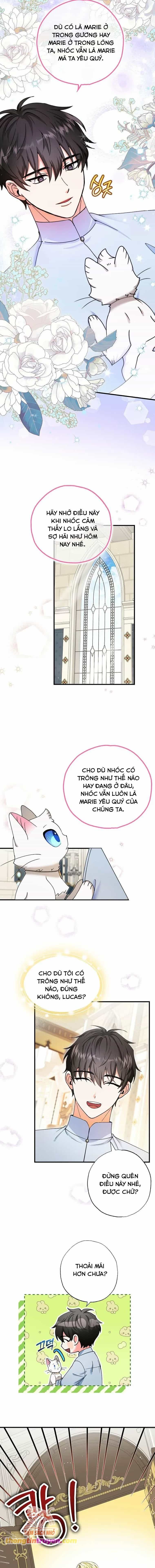 Trở Thành Miêu Nữ Của Hoàng Đế - Chương 22 - ảnh 12