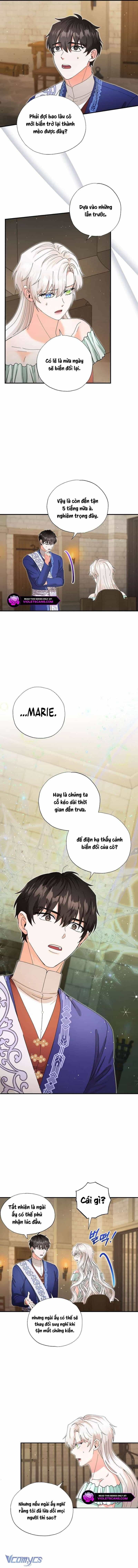 Trở Thành Miêu Nữ Của Hoàng Đế - Chương 34 - ảnh 5
