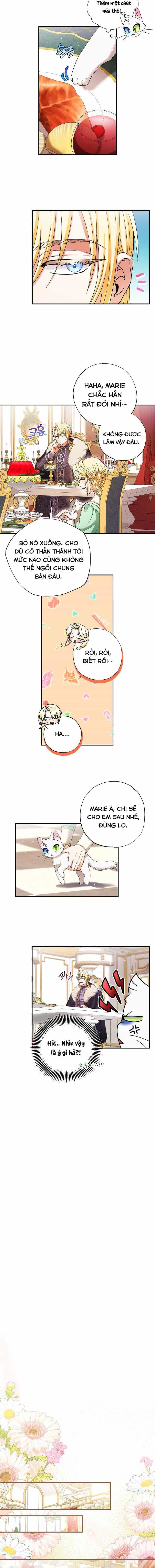 Trở Thành Miêu Nữ Của Hoàng Đế - Chương 4 - ảnh 5
