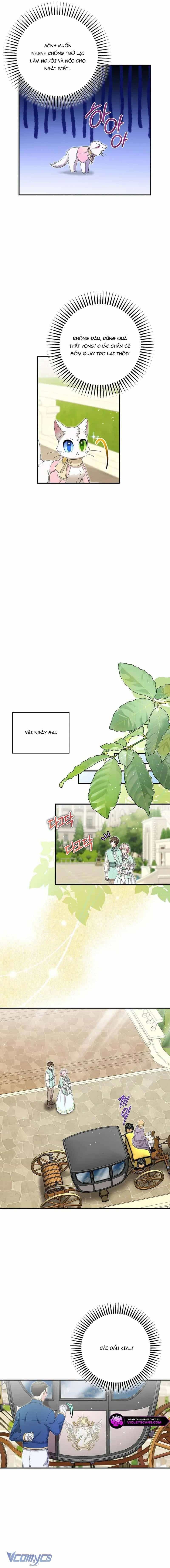 Trở Thành Miêu Nữ Của Hoàng Đế - Chương 52 - ảnh 4