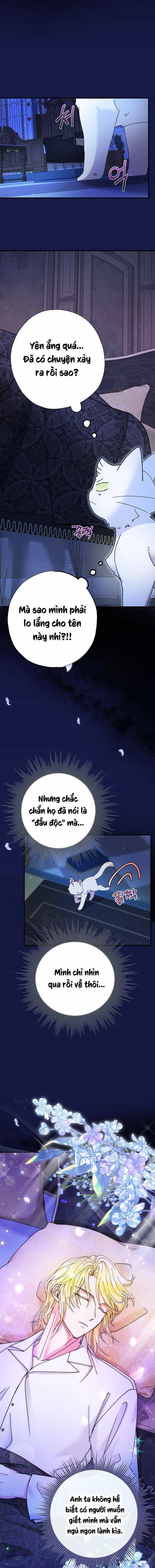 Trở Thành Miêu Nữ Của Hoàng Đế - Chương 6 - ảnh 4