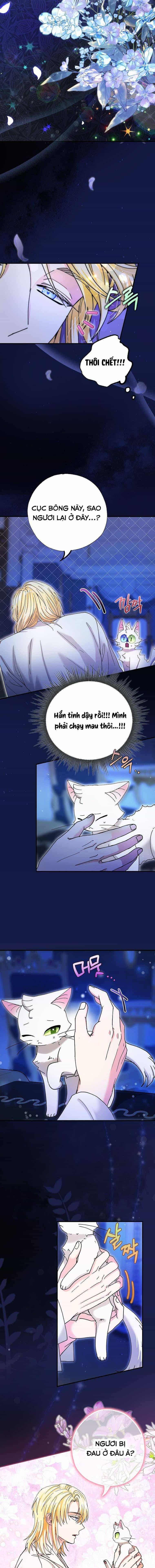 Trở Thành Miêu Nữ Của Hoàng Đế - Chương 6 - ảnh 5