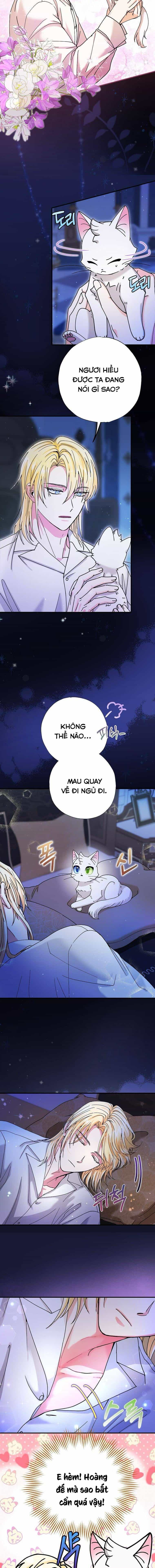 Trở Thành Miêu Nữ Của Hoàng Đế - Chương 6 - ảnh 6