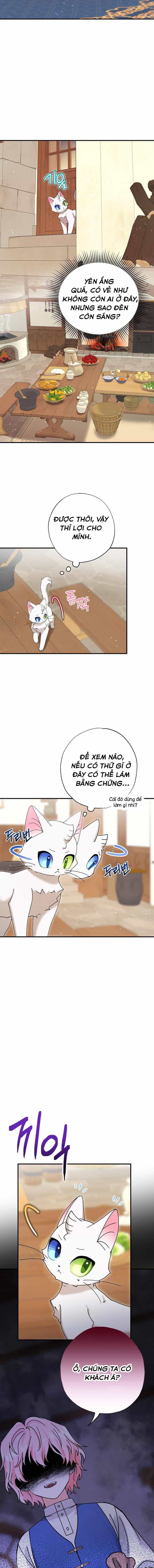 Trở Thành Miêu Nữ Của Hoàng Đế - Chương 8 - ảnh 16