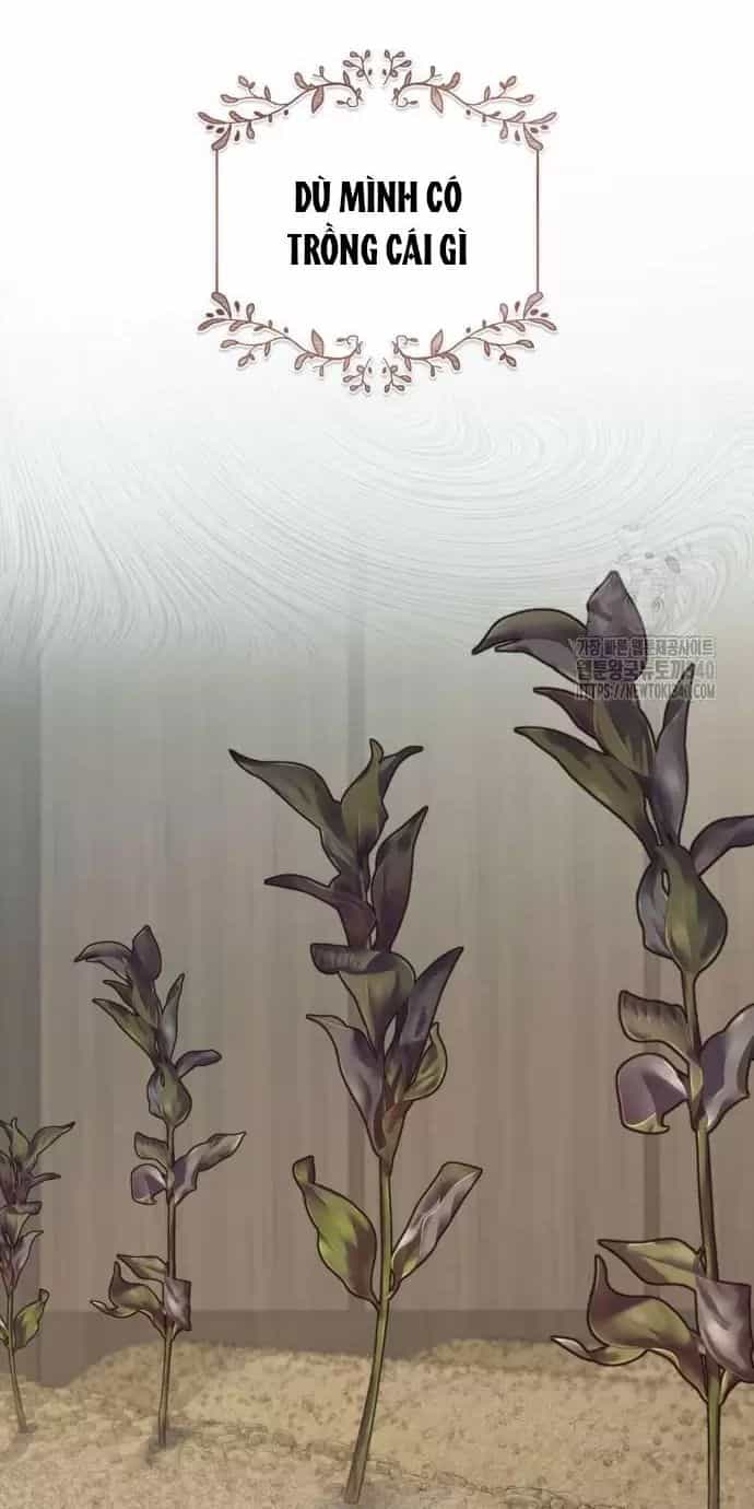Trở Thành Quỷ Vương Level 999 - Chương 10 - ảnh 44