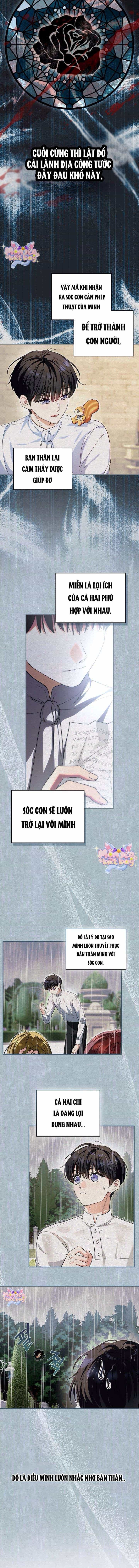 Trở Thành Sóc Nhỏ Của Kẻ Phản Diện - Chương 6 - ảnh 5