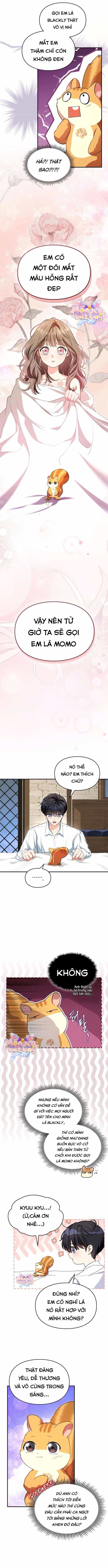 Trở Thành Sóc Nhỏ Của Kẻ Phản Diện - Chương 8 - ảnh 8