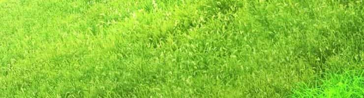 Trở Thành Thiên Tài Tốc Biến Của Học Viện Ma Pháp - Chương 92 - ảnh 126