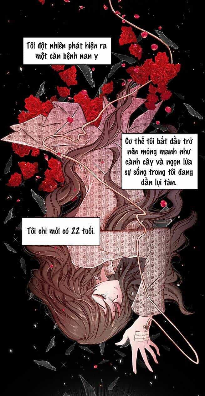 Trở Thành Tiểu Thư Xấu Xí - Chương 1 - ảnh 4