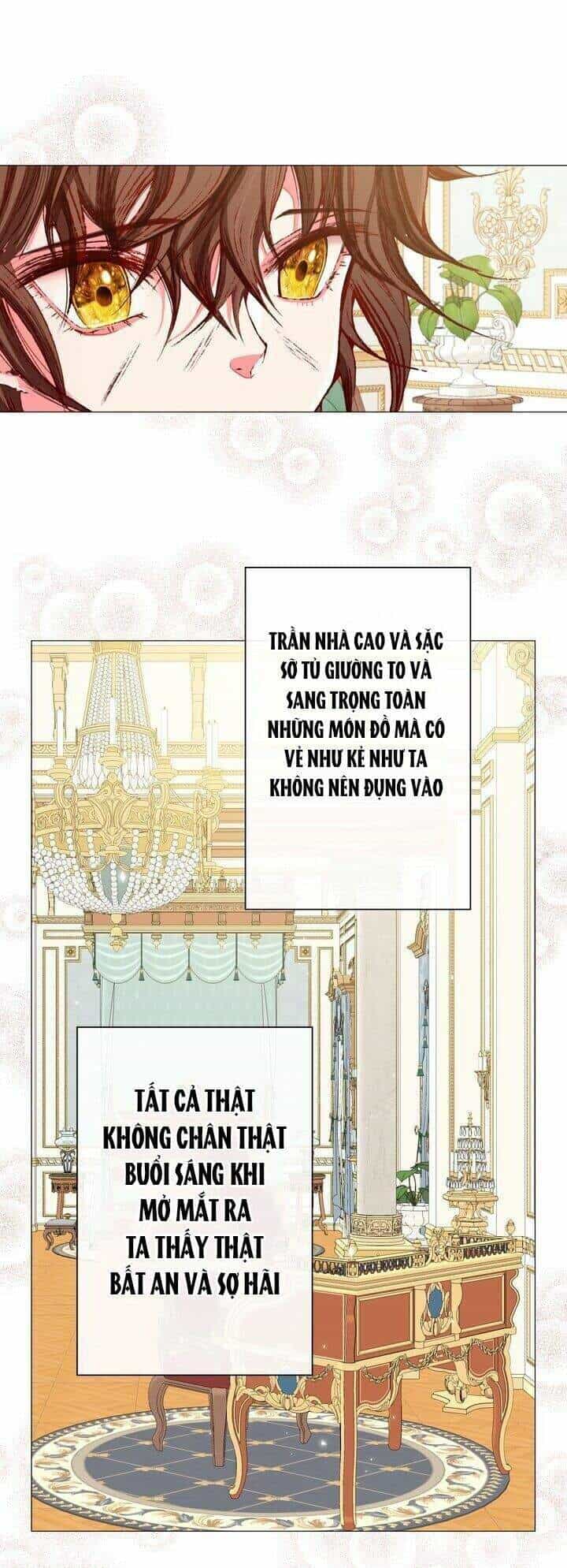 Trở Thành Tiểu Thư Xấu Xí - Chương 10 - ảnh 28