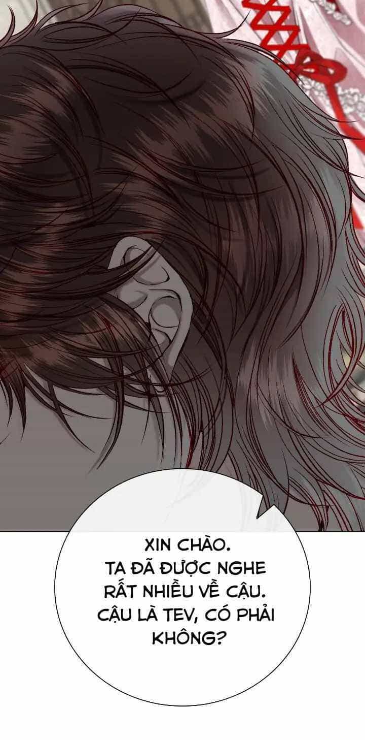 Trở Thành Tiểu Thư Xấu Xí - Chương 107 - ảnh 34