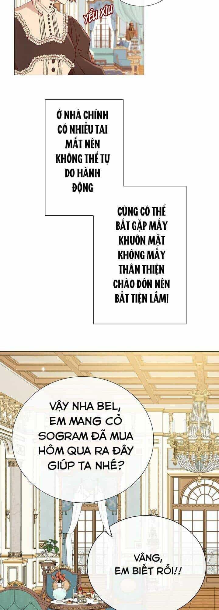 Trở Thành Tiểu Thư Xấu Xí - Chương 12 - ảnh 32